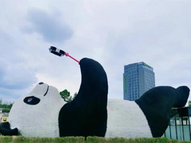 驕陽(yáng)主題館宣傳片丨熊貓愛(ài)好者的聚集地，攜手驕陽(yáng)走進(jìn)成都大熊貓博物館