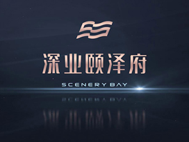 房地產(chǎn)宣傳片丨深業(yè)頤澤府，向潮而生
