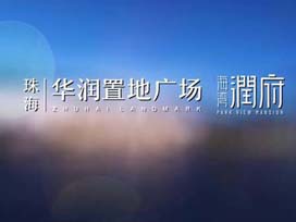 綜合體宣傳片丨華潤置地廣場(chǎng)，一城落筆灣區共望