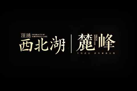 商業(yè)綜合體?頂琇西北湖